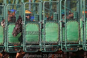Details Kategorie: Avenches 23.07.2014